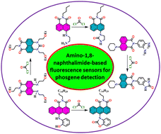 Graphical abstract: Reactivity-based amino-1,8-naphthalimide fluorescent chemosensors for the detection and monitoring of phosgene
