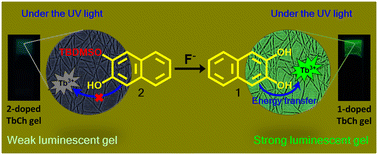 Graphical abstract: A sensitive paper-based sensor for fluoride detection in water using Tb3+ photoluminescence