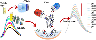 Graphical abstract: Highly efficient WS2 QD-based non-enzymatic fluorescent biosensor for ofloxacin and ciprofloxacin monitoring in aquatic media