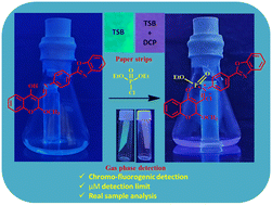 Graphical abstract: A highly selective chromo-fluorogenic probe for specific detection of sarin gas simulant diethylchlorophosphate in liquid and vapor phases