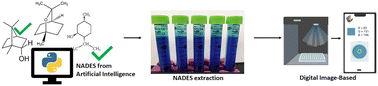 Graphical abstract: Detection of surfactants using a hydrophobic natural deep eutectic solvent and smartphone