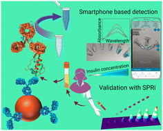 Graphical abstract: Colorimetric nano-biosensor for low-resource settings: insulin as a model biomarker