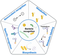 Graphical abstract: Recent advances in sensor arrays aided by machine learning for pathogen identification