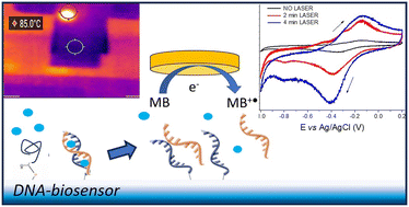 Graphical abstract: A DNA biosensor integrating surface hybridization, thermo-responsive coating, laminar-flow technology and localized photothermal effect for efficient electrochemical detection of nucleic acids