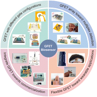 Graphical abstract: The development of GFETs for biometric applications
