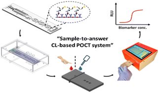 Graphical abstract: A new sequential dual flow lab-on-a-chip with a lyophilized one-component chemiluminescence substrate for high-sensitive microchannel lateral flow assay (mLFA)