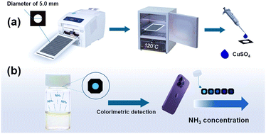 Graphical abstract: Headspace paper-based analytical device for ammonia quantification in human biological samples