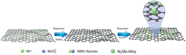 Graphical abstract: Alloying Ni4Mo for efficient alkaline hydrogen oxidation and hydrogen evolution reactions