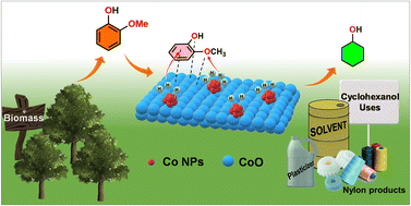 Graphical abstract: The cooperative effect of Co and CoO in Co/CoO enabled efficient catalytic hydrogenation and demethoxylation of guaiacol to cyclohexanol
