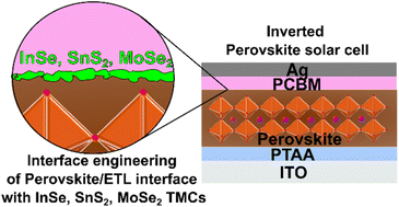 Graphical abstract: Engineering of the perovskite/electron-transporting layer interface with transition metal chalcogenides for improving the performance of inverted perovskite solar cells