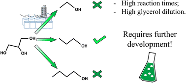 Graphical abstract: Biochemical production of short-chain alcohols from glycerol: process simulation and economic evaluation