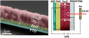 Graphical abstract: Effect of ZnO and PEDOT:PSS charge selective layers on photovoltage of cuprous oxide (Cu2O) heterojunction solar cells