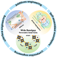 Graphical abstract: Performance promotion strategies for wide bandgap perovskite solar cells