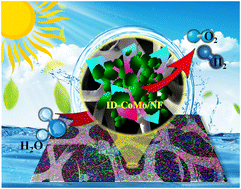 Graphical abstract: Design strategy of encapsulated nanoplates and nanorods (ID-CoMo): enhanced catalytic activity and sustainability for overall & solar cell water splitting