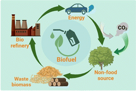 Graphical abstract: Advanced biofuels: a path to sustainable energy