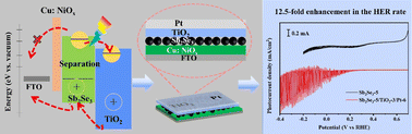 Graphical abstract: Interfacial engineering enabling solution-processed Cu:NiOx/Sb2Se3/TiO2/Pt photocathodes for highly efficient photoelectrochemical water-splitting