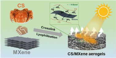 Graphical abstract: MXene nanosheet-reinforced chitosan as a stable photothermal evaporator for efficient solar evaporation