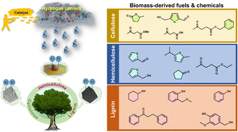 Graphical abstract: In situ hydroprocessing of lignocellulosic biomass-derived molecules into fuels and chemicals using heterogeneous catalysts