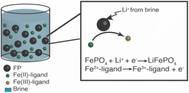 Graphical abstract: Selective lithium extraction from brine via chemical reduction of iron phosphate with aqueous iron compounds