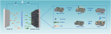 Graphical abstract: Oxygen enriched porous carbon nanoflakes enable high-performance zinc ion hybrid capacitors