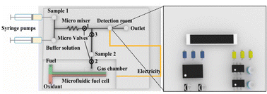 Graphical abstract: Dual functions of a microfluidic fuel cell as electricity generation and liquid pumping units