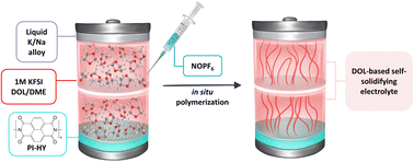 Graphical abstract: Exploring 1,3-dioxolane polymerization initiated by NOPF6: a universal approach to self-solidifying electrolytes for high-capacity retention potassium batteries