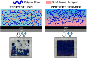 Graphical abstract: Vertical phase separation induced highly efficient pseudo-bilayer photoanodes for organic photoelectrochemical cells