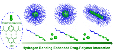 Graphical abstract: Hydrogen bonding enhanced drug–polymer interaction for efficient drug loading and delivery