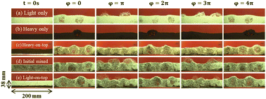 Graphical abstract: Structured bubbling in vibrated gas-fluidized beds of binary granular particles: experiments and simulations