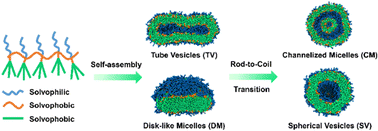 Graphical abstract: Self-assembly of amphiphilic asymmetric comb-like copolymers with responsive rigid side chains
