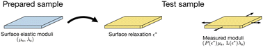 Graphical abstract: From a distance: Shuttleworth revisited