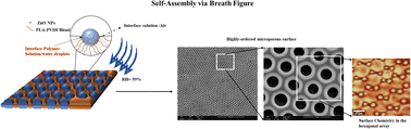 Graphical abstract: A versatile route for the fabrication of micro-patterned polylactic-acid (PLA)-based membranes with tailored morphology via breath figure imprinting