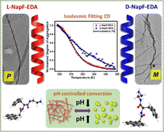 Graphical abstract: Divergent self-assembly propensity of enantiomeric phenylalanine amphiphiles that undergo pH-induced nanofiber-to-nanoglobule conversion