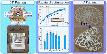 Graphical abstract: Flax fibre reinforced alginate poloxamer hydrogel: assessment of mechanical and 4D printing potential