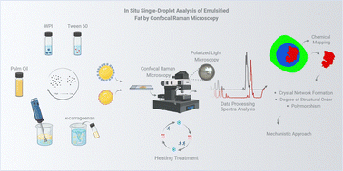 Graphical abstract: In situ single-droplet analysis of emulsified fat using confocal Raman microscopy: insights into crystal network formation within spatial resolution