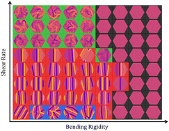 Graphical abstract: Dynamics of a self-interacting sheet in shear flow