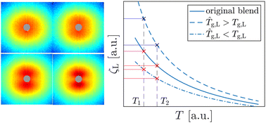 Graphical abstract: The influence of elongation-induced concentration fluctuations on segmental friction in polymer blends