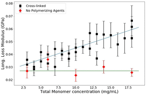 Graphical abstract: Effect of polymerization on free water in polyacrylamide hydrogels observed with Brillouin spectroscopy