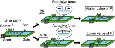 Graphical abstract: Can self-propelled objects escape from compression stimulation?