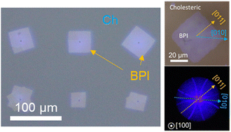 Graphical abstract: Anisotropic crystal growth in blue phase I transitioned from a uniformly oriented cholesteric phase