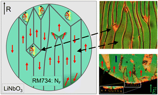 Graphical abstract: Fluid jets and polar domains, on the relationship between electromechanical instability and topology in ferroelectric nematic liquid crystal droplets