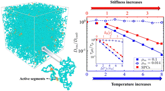 Graphical abstract: Activity-induced stiffness, entanglement network and dynamic slowdown in unentangled semidilute polymer solutions