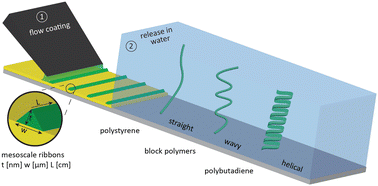 Graphical abstract: Fabricating mesoscale polymer ribbons with tunable mechanical properties via evaporative deposition and dewetting