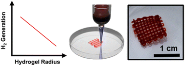 Graphical abstract: Biopolymer-supramolecular polymer hybrids for photocatalytic hydrogen production