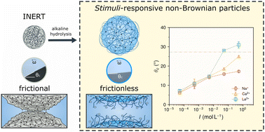 Graphical abstract: Granular aqueous suspensions with controlled interparticular friction and adhesion