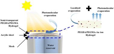 Graphical abstract: Highly porous hydrogels for efficient solar water evaporation