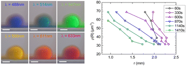 Graphical abstract: Accessing the free expansion of a crystalline colloidal drop by optical experiments