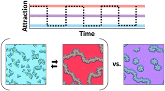 Graphical abstract: 2D capsid formation within an oscillatory energy landscape: orderly self-assembly depends on the interplay between a dynamic potential and intrinsic relaxation times