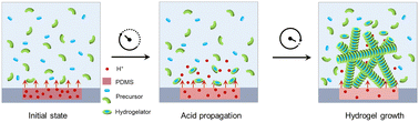 Graphical abstract: Localized self-assembly of macroscopically structured supramolecular hydrogels through reaction–diffusion