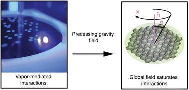 Graphical abstract: Droplet tilings in precessive fields: hysteresis, elastic defects, and annealing